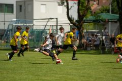DSC03708