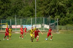 DSC04930